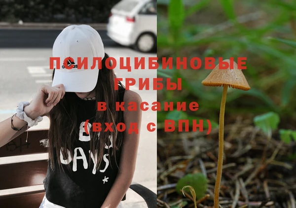винт Семёнов